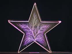4" Star