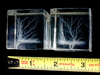 Lichtenberg Cubes