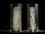 Cylinder figures