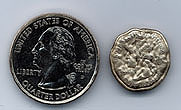Mutant Quarter - head