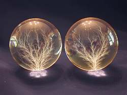 Pair of 3" Spheres, natural light